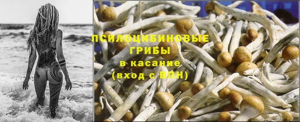 твердый Новокубанск
