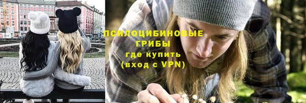 твердый Новокубанск
