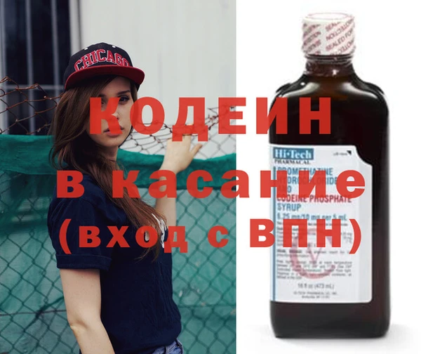 сатива Болотное