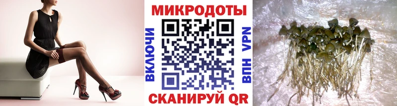 Псилоцибиновые грибы мухоморы  Долинск 