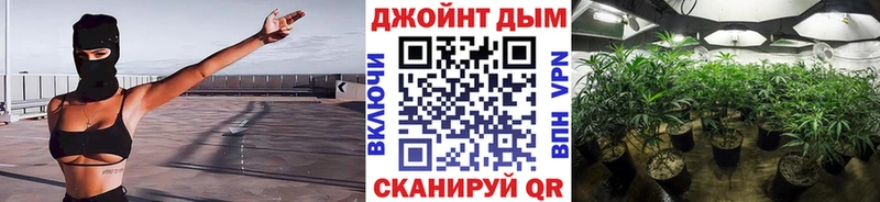 Канабис планчик  как найти наркотики  Долинск 